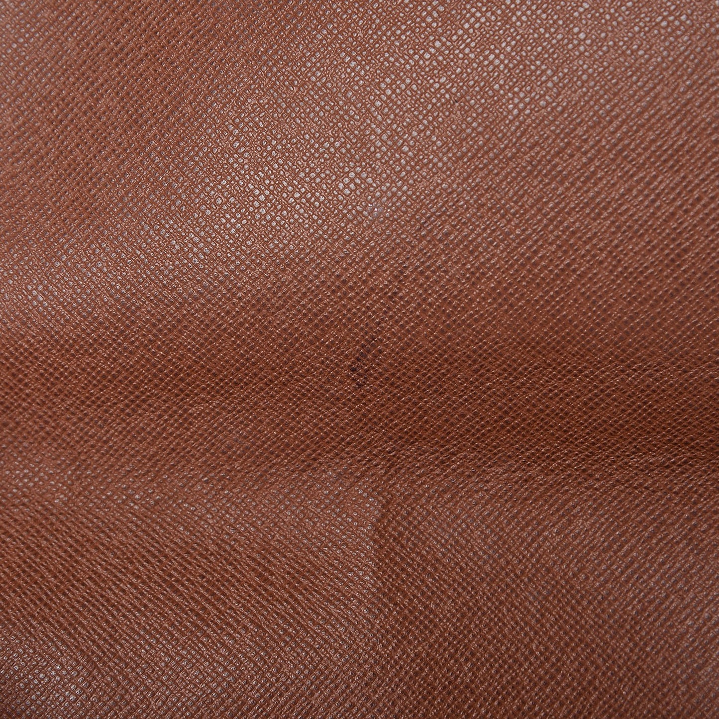 Monogram Musette Tango