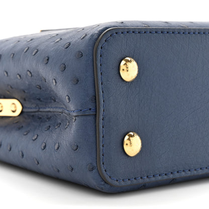 Louis Vuitton Ostrich Capucines Mini Indigo 10 of 10