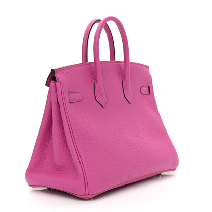 Hermes Togo Birkin 25 Magnolia 3 of 14