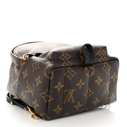 Louis Vuitton Monogram Palm Springs Backpack Mini 5 of 11