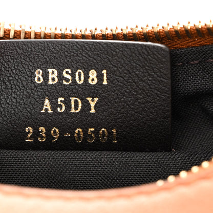 Fendi Vitello Grace Matte Mini Fendigraphy Hobo Bag Brandy 7 of 12