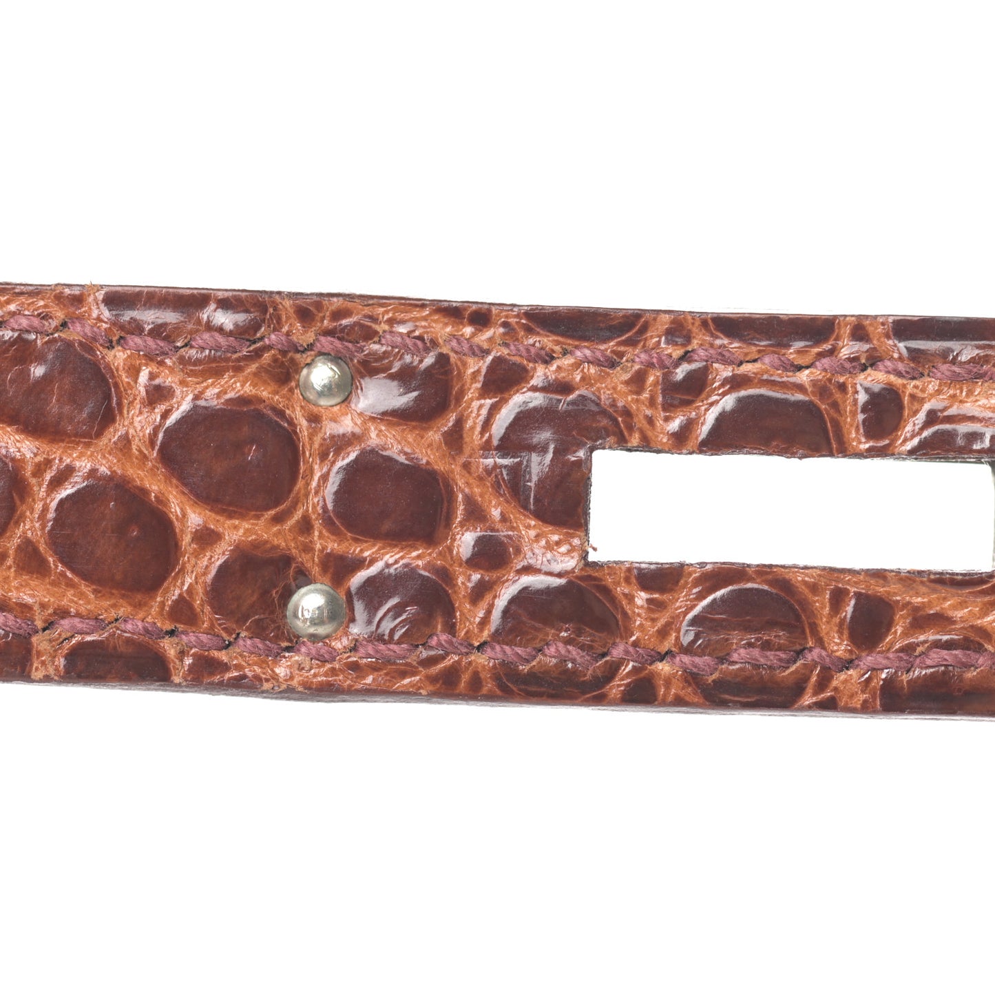 Shiny Porosus Birkin 35 Miel