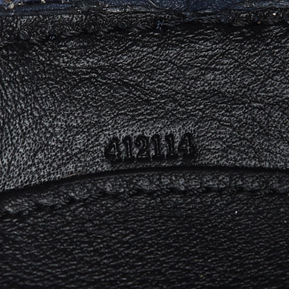 Loewe Raffia Calfskin Paula's Ibiza Turtle Pouch Ocean Multicolor 7 of 10