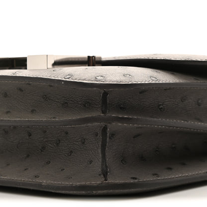 Hermes Ostrich Constance 18 Gris Meyer 10 of 11