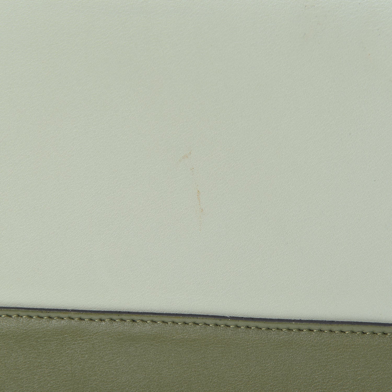 Celine Shiny Smooth Calfskin Medium Frame Shoulder Bag Olive Pastel Green 16 of 16