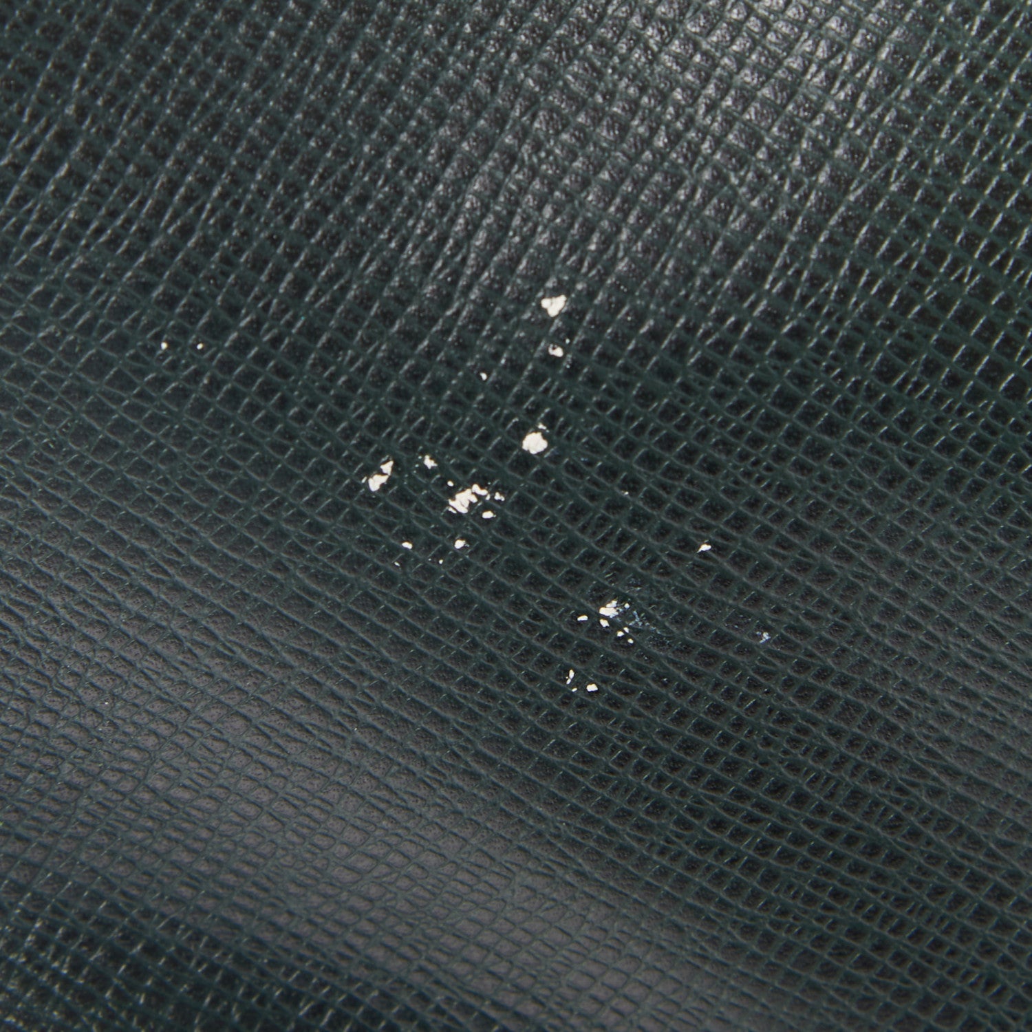 Louis Vuitton Taiga Kendall PM Epicea 14 of 21