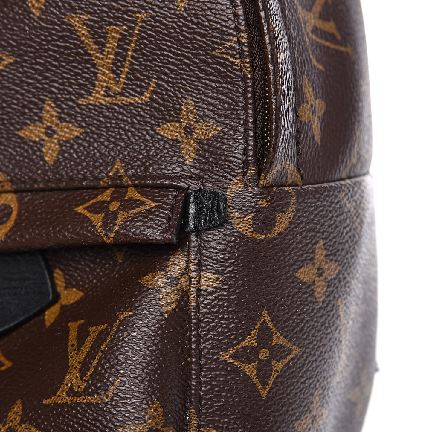 Monogram Palm Springs Backpack Mini