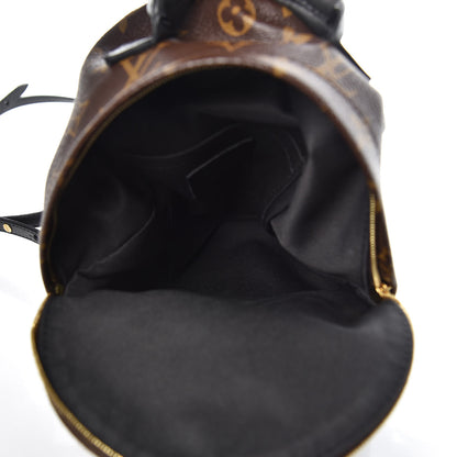 Louis Vuitton Monogram Palm Springs Backpack Mini 5 of 8