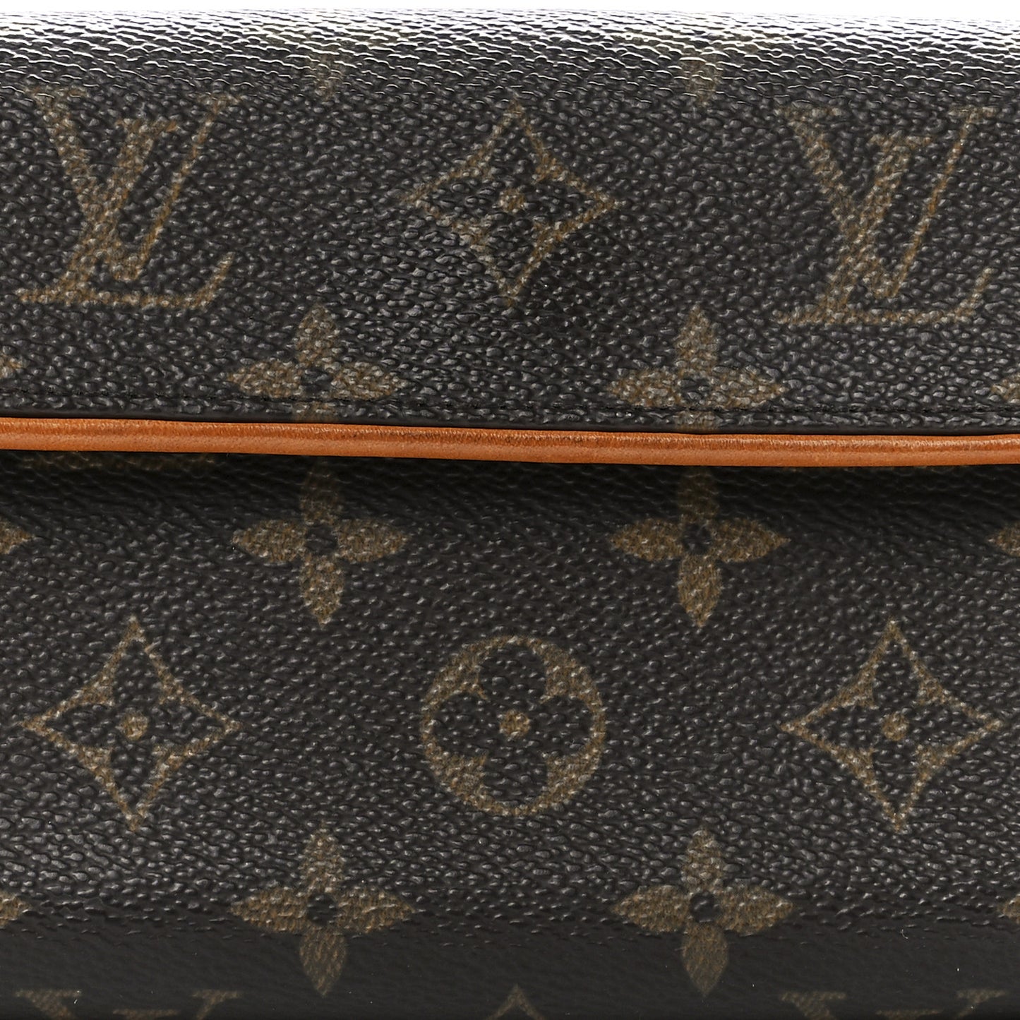 Monogram Pochette Florentine M