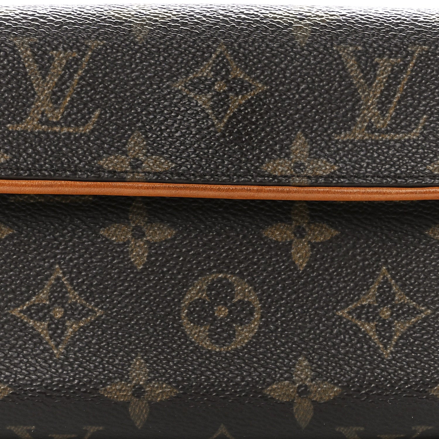 Louis Vuitton Monogram Pochette Florentine M 11 of 14