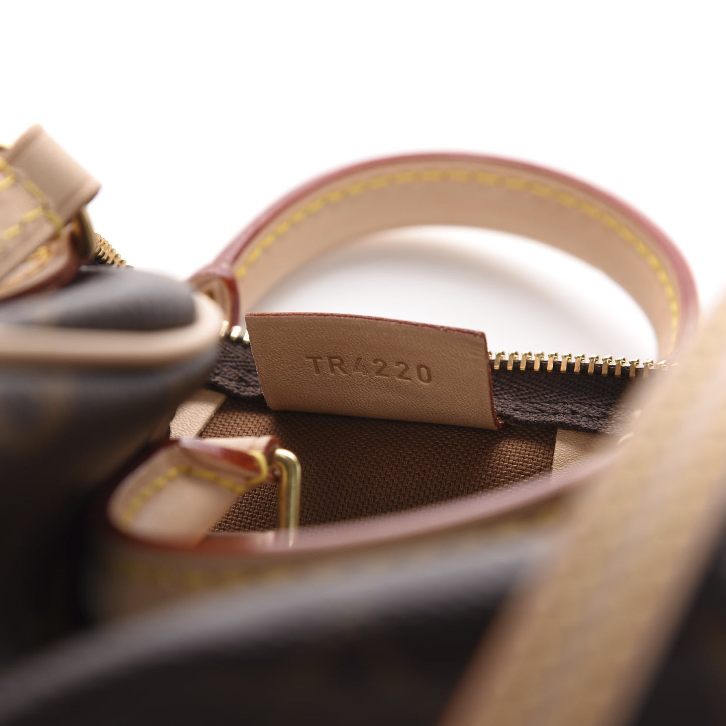 Monogram Nano Speedy