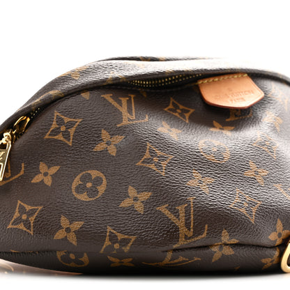 Louis Vuitton Monogram Bumbag 9 of 11