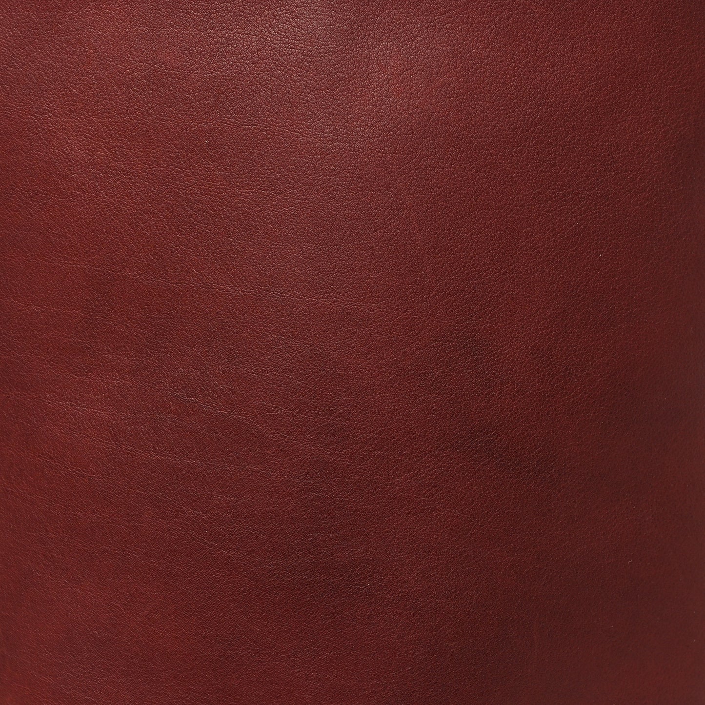 Polished Saddle Calfskin Medium N/S Park Tote Burnt Wood