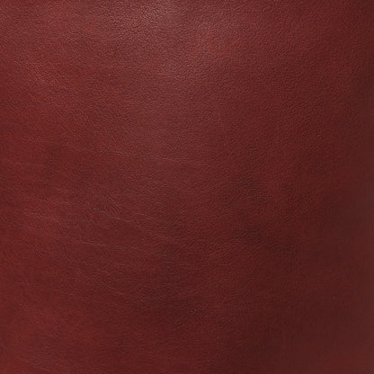 The Row Polished Saddle Calfskin Medium N/S Park Tote Burnt Wood 6 of 8