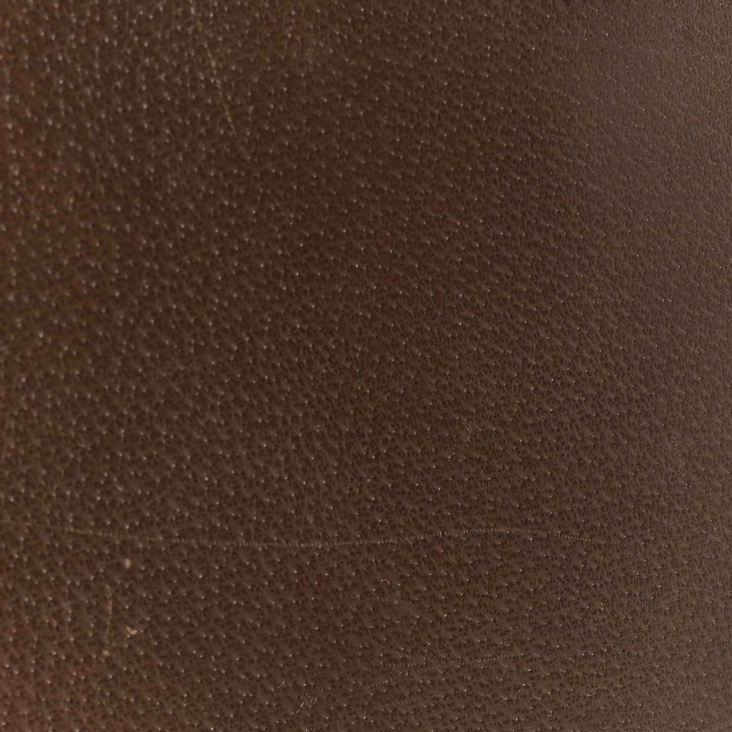 Textured Calfskin Web Medium Dionysus Shoulder Bag New Acero