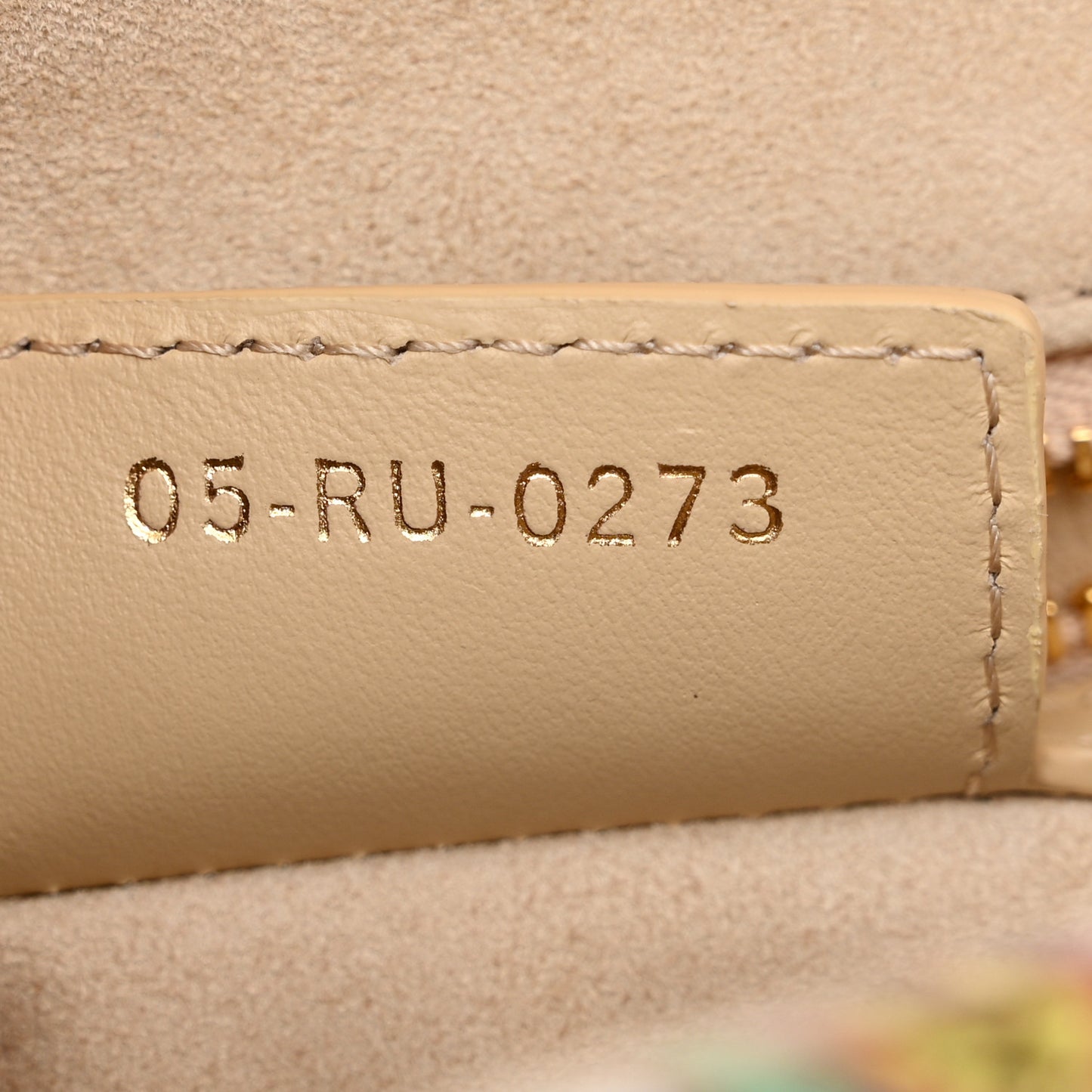 Raffia Floral Embroidered Small Caro Bag Multicolor