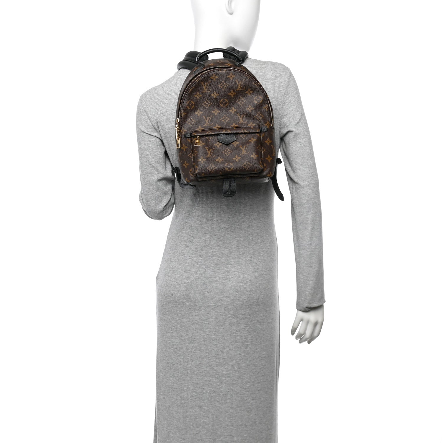 Louis Vuitton Monogram Palm Springs Backpack PM 2 of 9