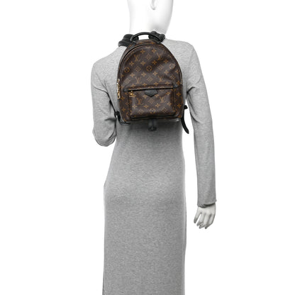 Louis Vuitton Monogram Palm Springs Backpack PM 2 of 9