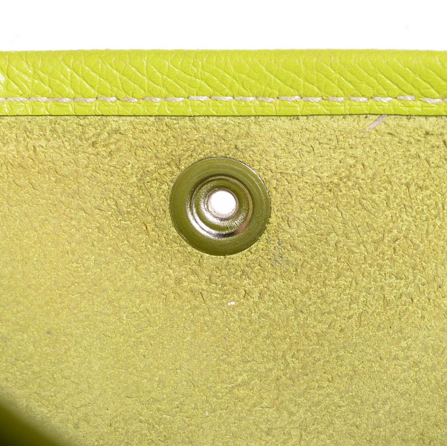 Epsom Evelyne III GM Kiwi