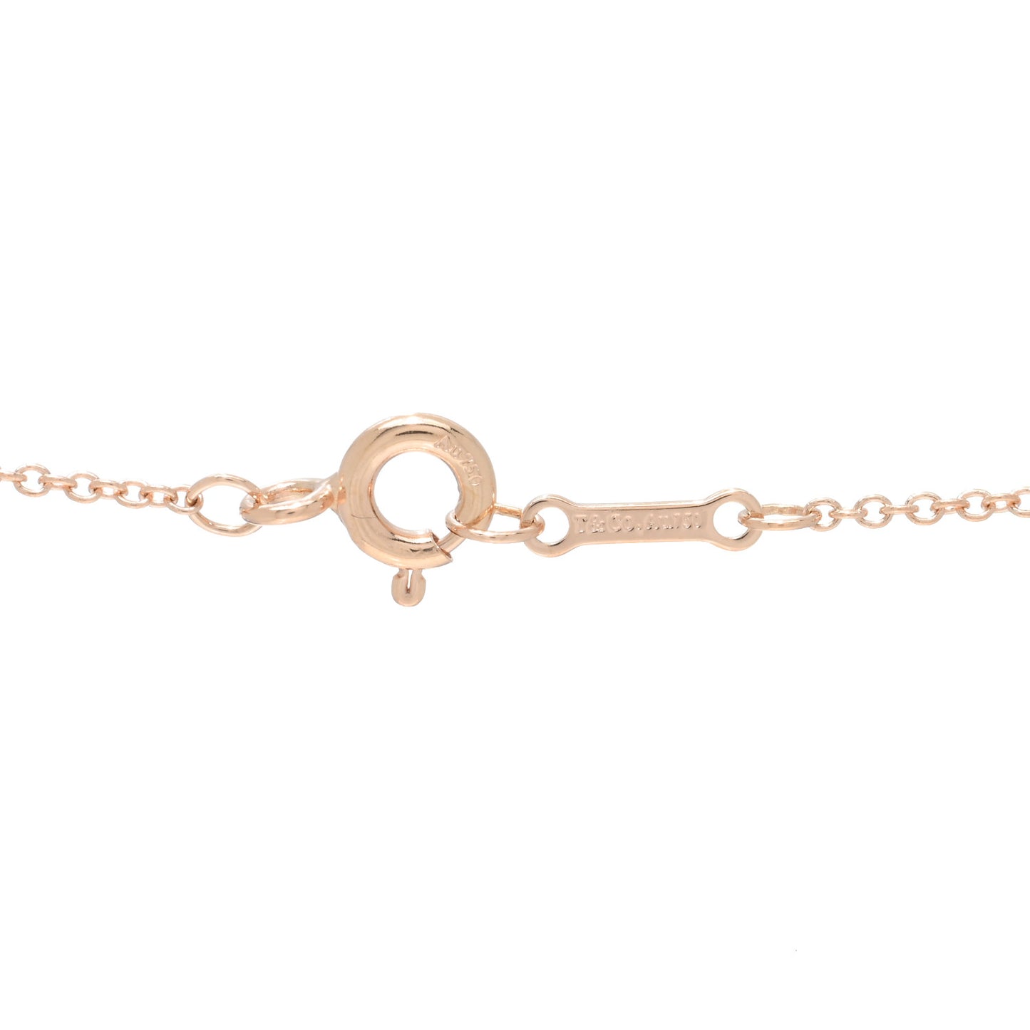 18K Rose Gold Paloma's Melody Mini Circle Pendant Necklace