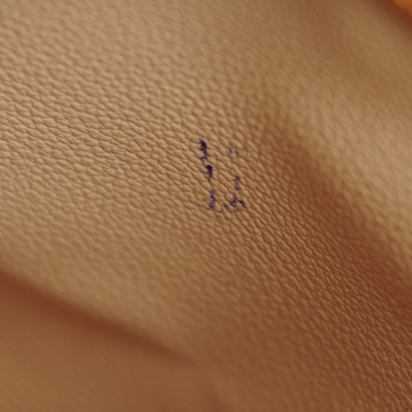Monogram Petit Bucket 23