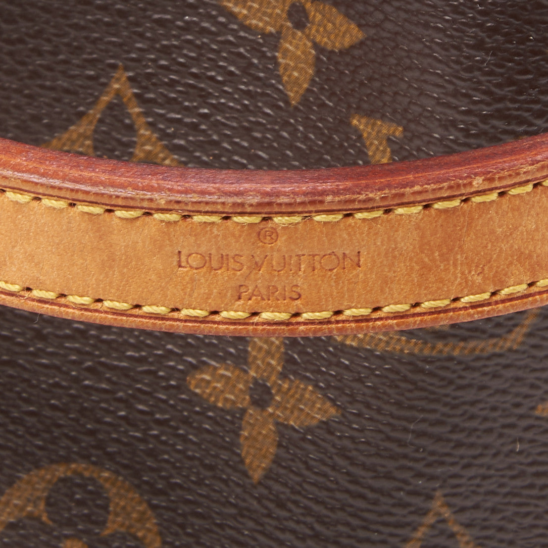 Monogram Mini Noe
