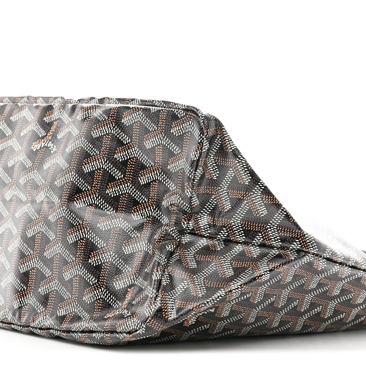 Goyard Goyardine Saint Louis PM Black 12 of 12
