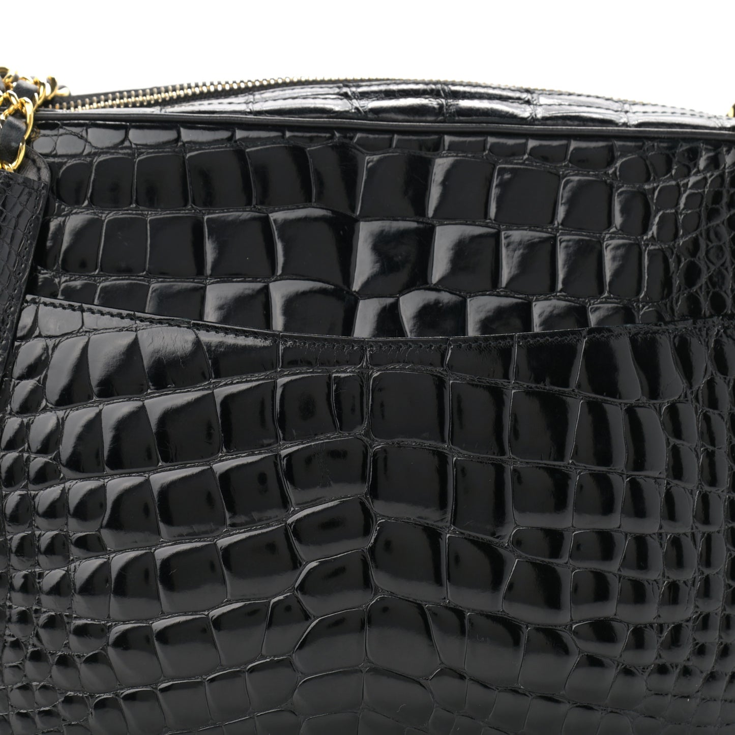 Alligator Camera Case Black