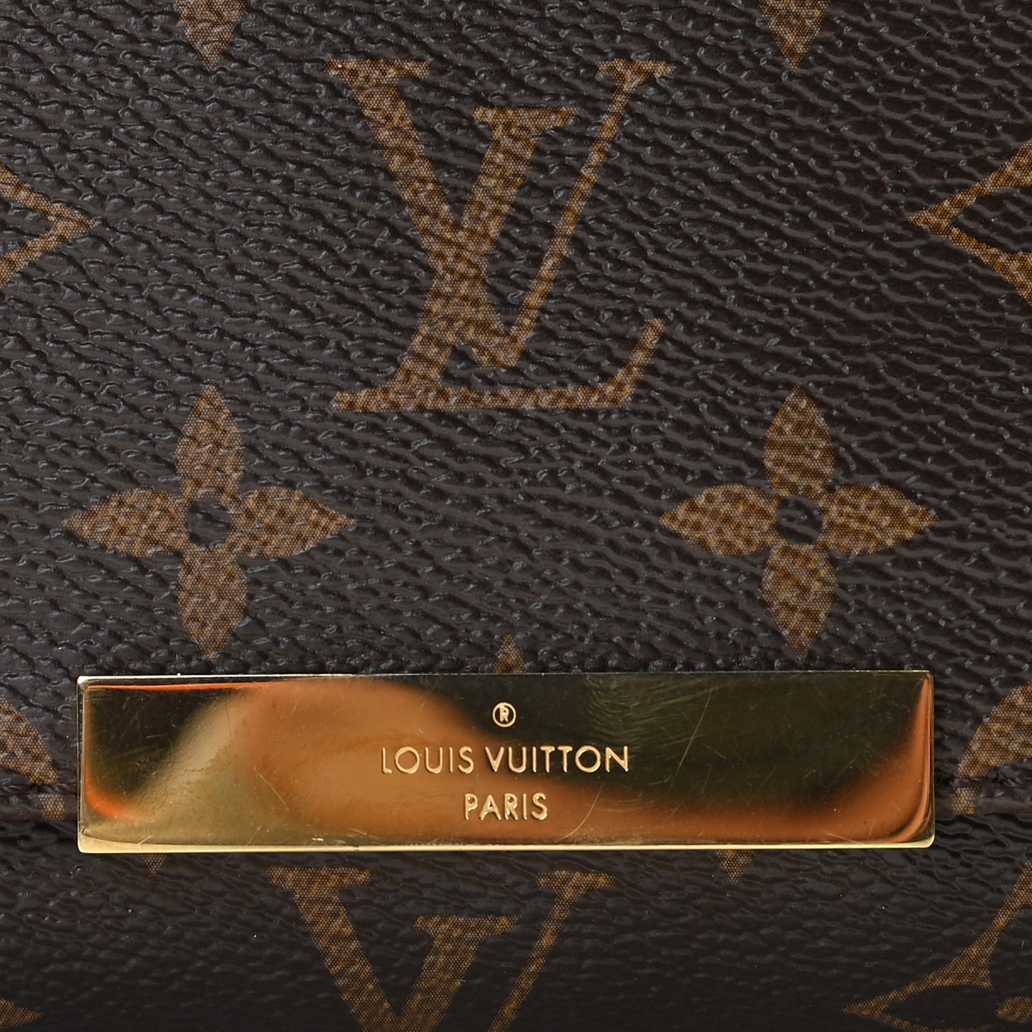 Monogram Favorite PM