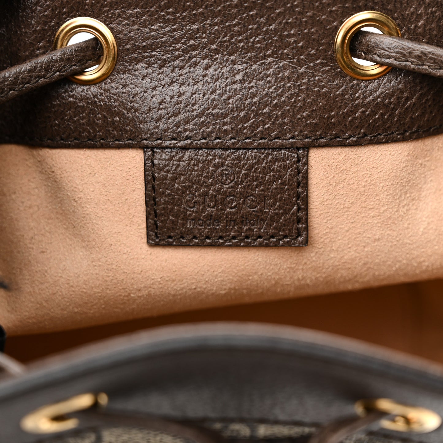 GG Supreme Monogram Web Mini Ophidia Bucket Bag Brown