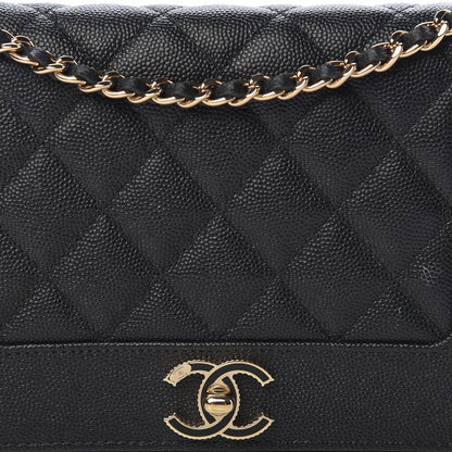 Chanel Caviar Quilted Vintage Mademoiselle Wallet On Chain WOC Black 9 of 12