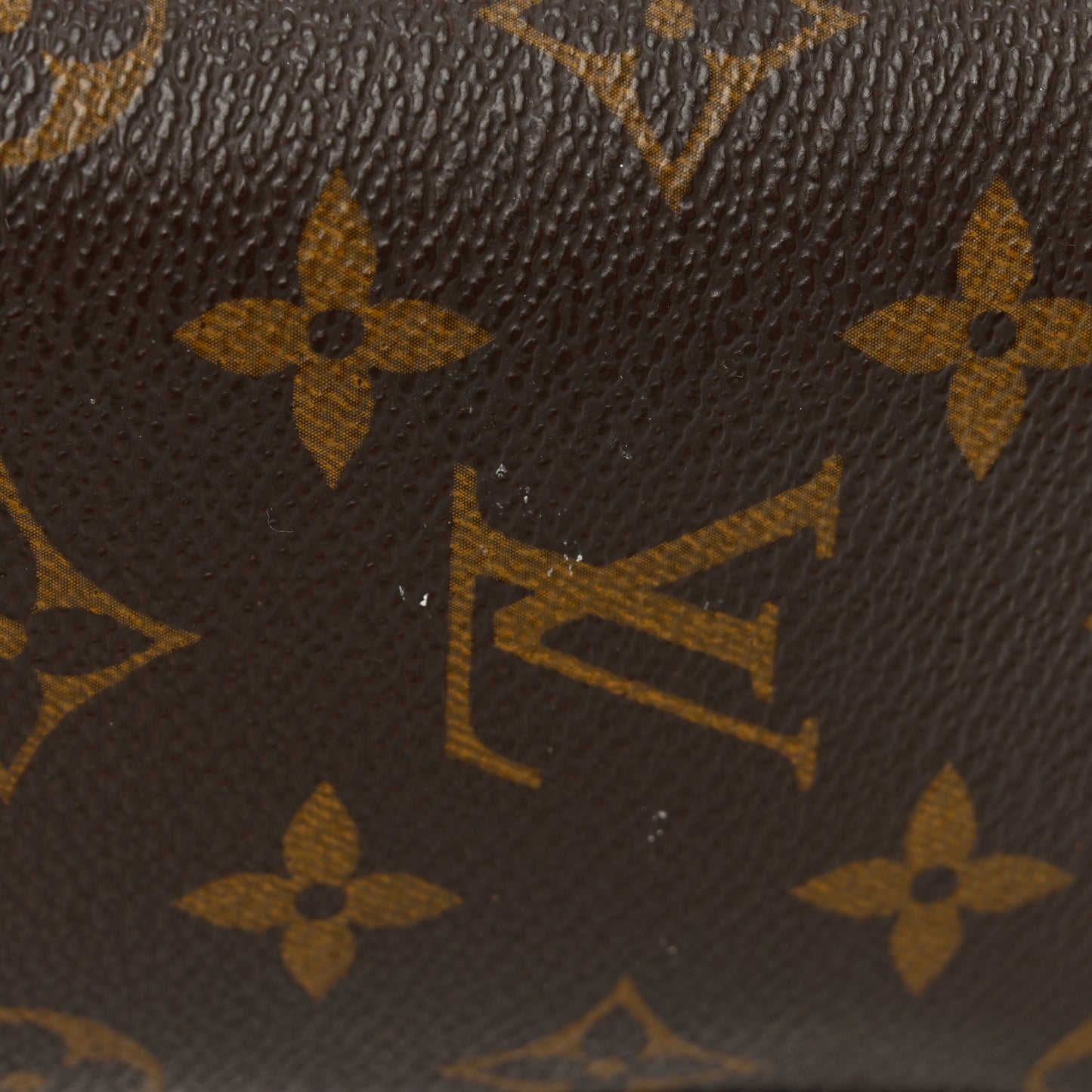 Monogram Sunglasses Case MM