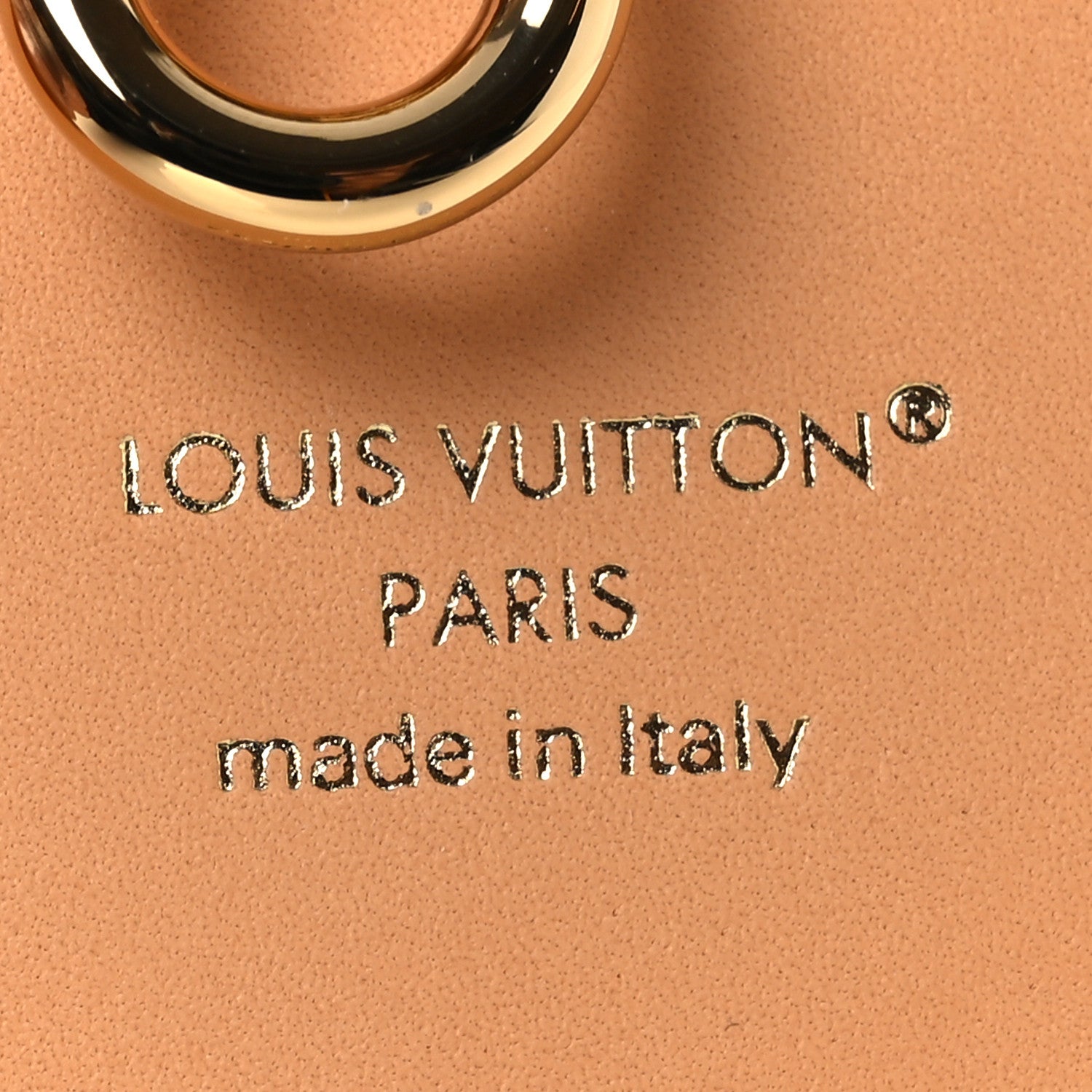 Louis Vuitton Monogram Giant By The Pool 2.0 Illustre Resort Bag Charm Key Holder Lagoon Blue 3 of 4