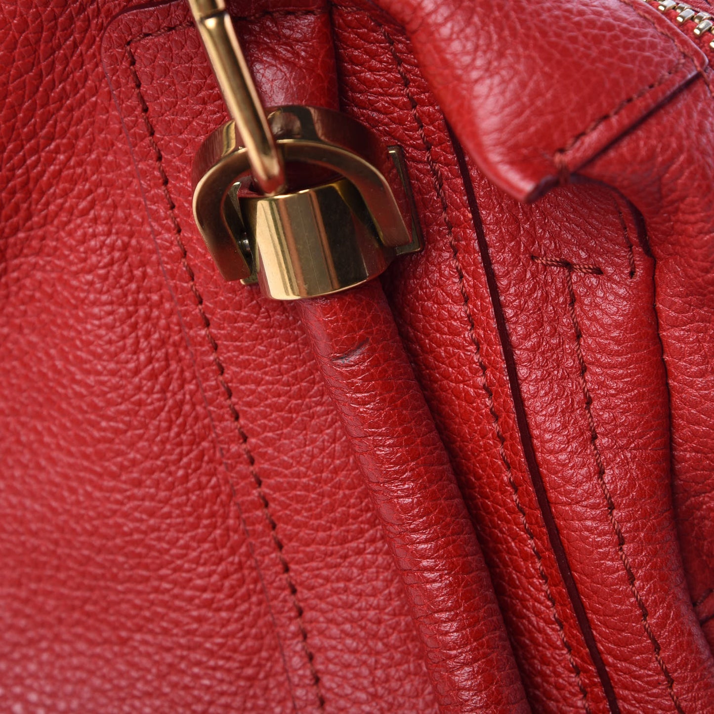 Calfskin Medium Paraty Holly Berry