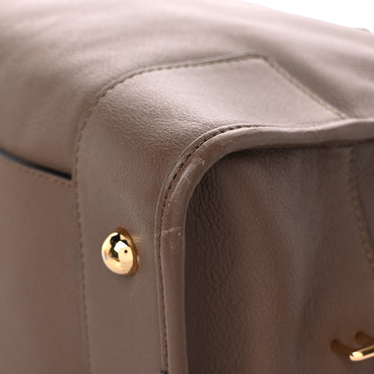 Loewe Calfskin Amazona 36 Mink 11 of 13