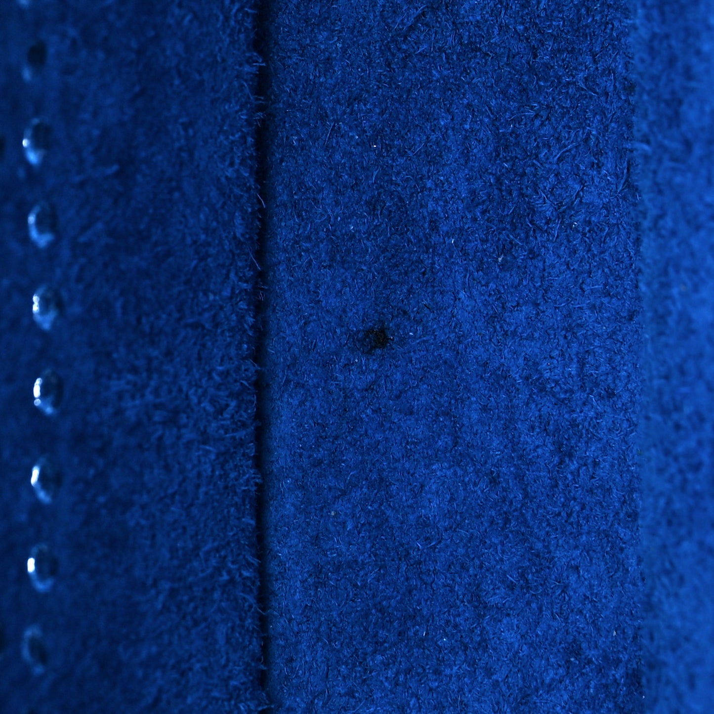 Taurillon Clemence Evelyne TPM Bleu Hydra