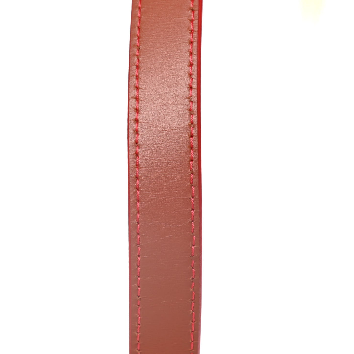 Smooth Calfskin Mini Belt Bag Terracotta