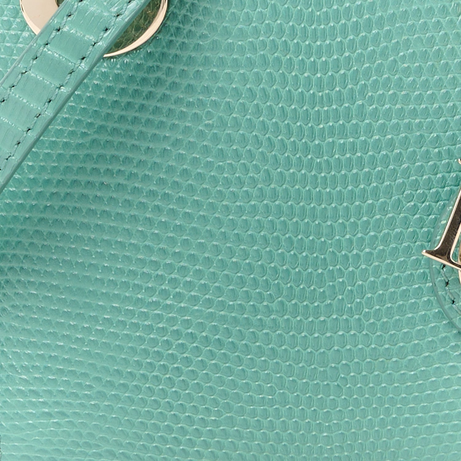 Christian Dior Lizard Micro Lady Dior Vert Tundra 8 of 11