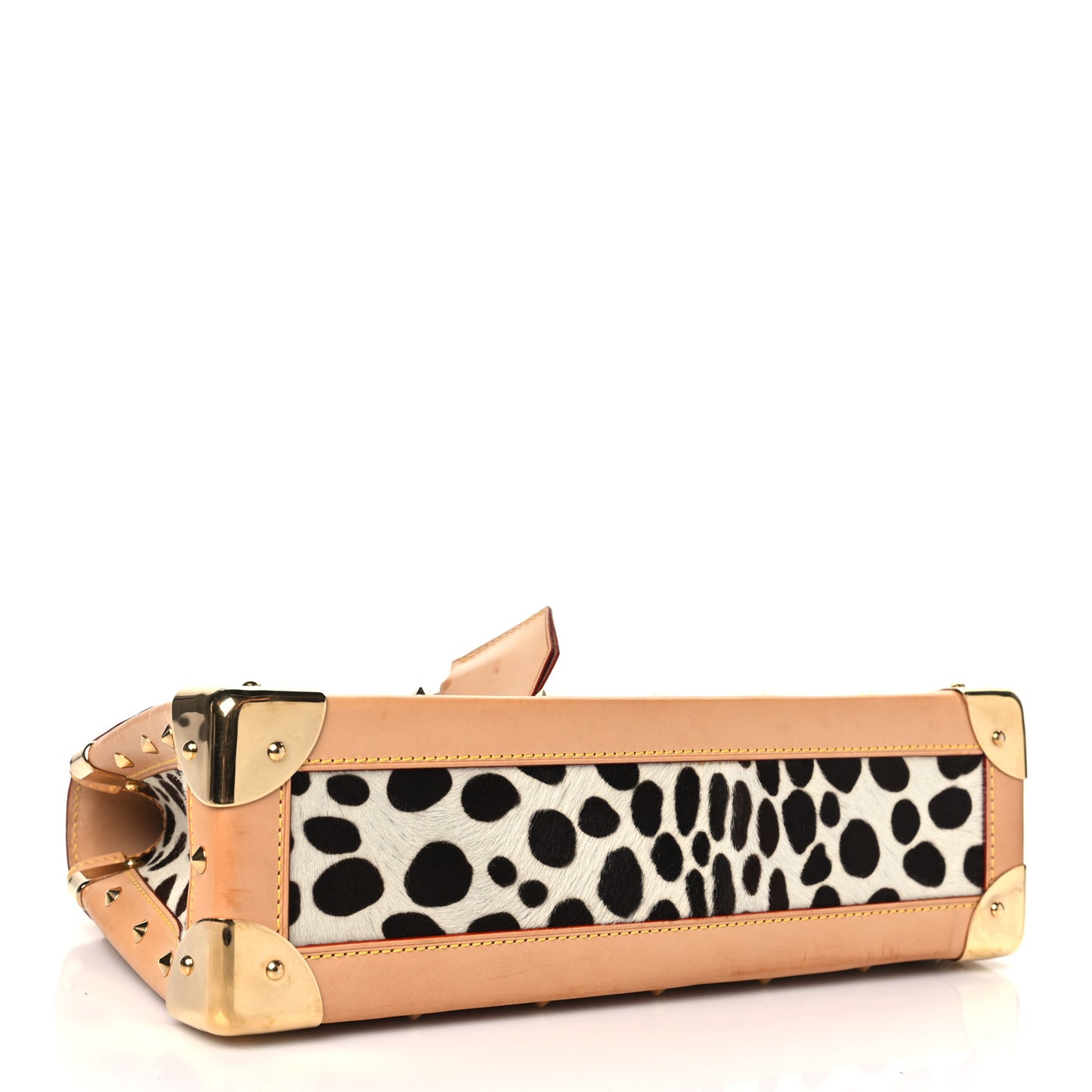 Monogram Multicolor Dalmatian Sac Rabat