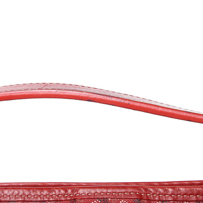 Goyard Goyardine Fidji Zip Hobo Red 13 of 14
