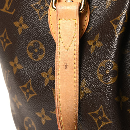 Louis Vuitton Monogram Palermo PM 14 of 14