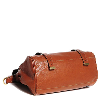 Mulberry Soft Buffalo Medium Alexa Oak 4 of 13