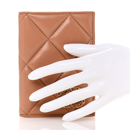 Chanel Lambskin Quilted Chanel 19 Passport Holder Brown 2 of 11