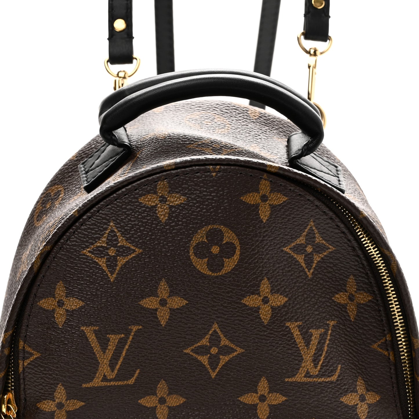 Monogram Palm Springs Backpack Mini