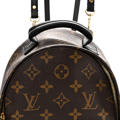 Louis Vuitton Monogram Palm Springs Backpack Mini 7 of 10