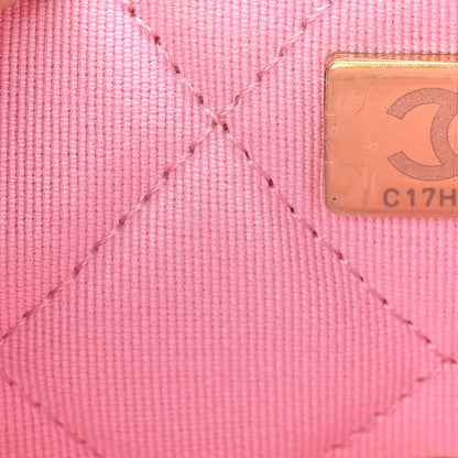 Chanel Raffia Small Dolce Raffia Flap Bag Pink 7 of 11