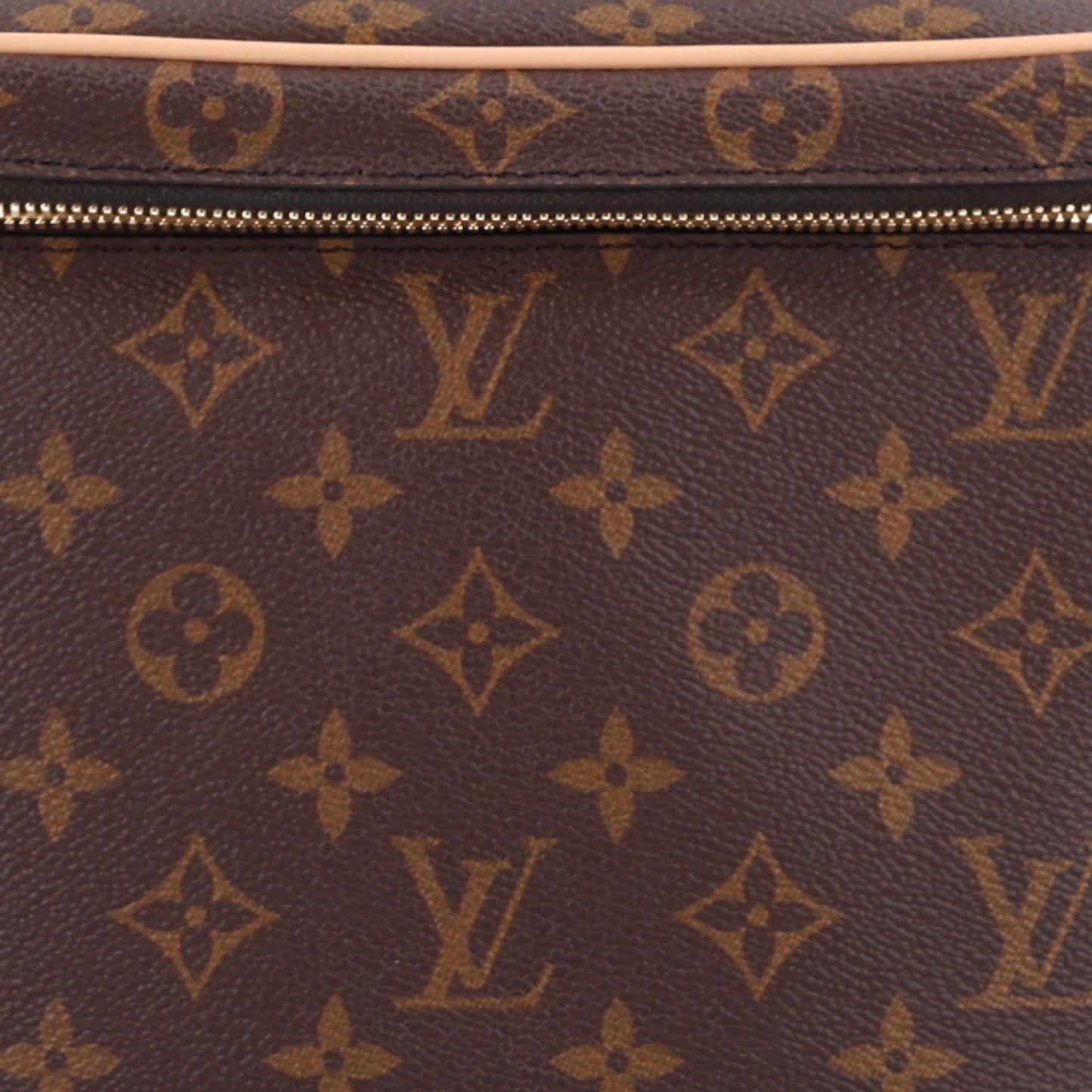 Monogram Nice BB
