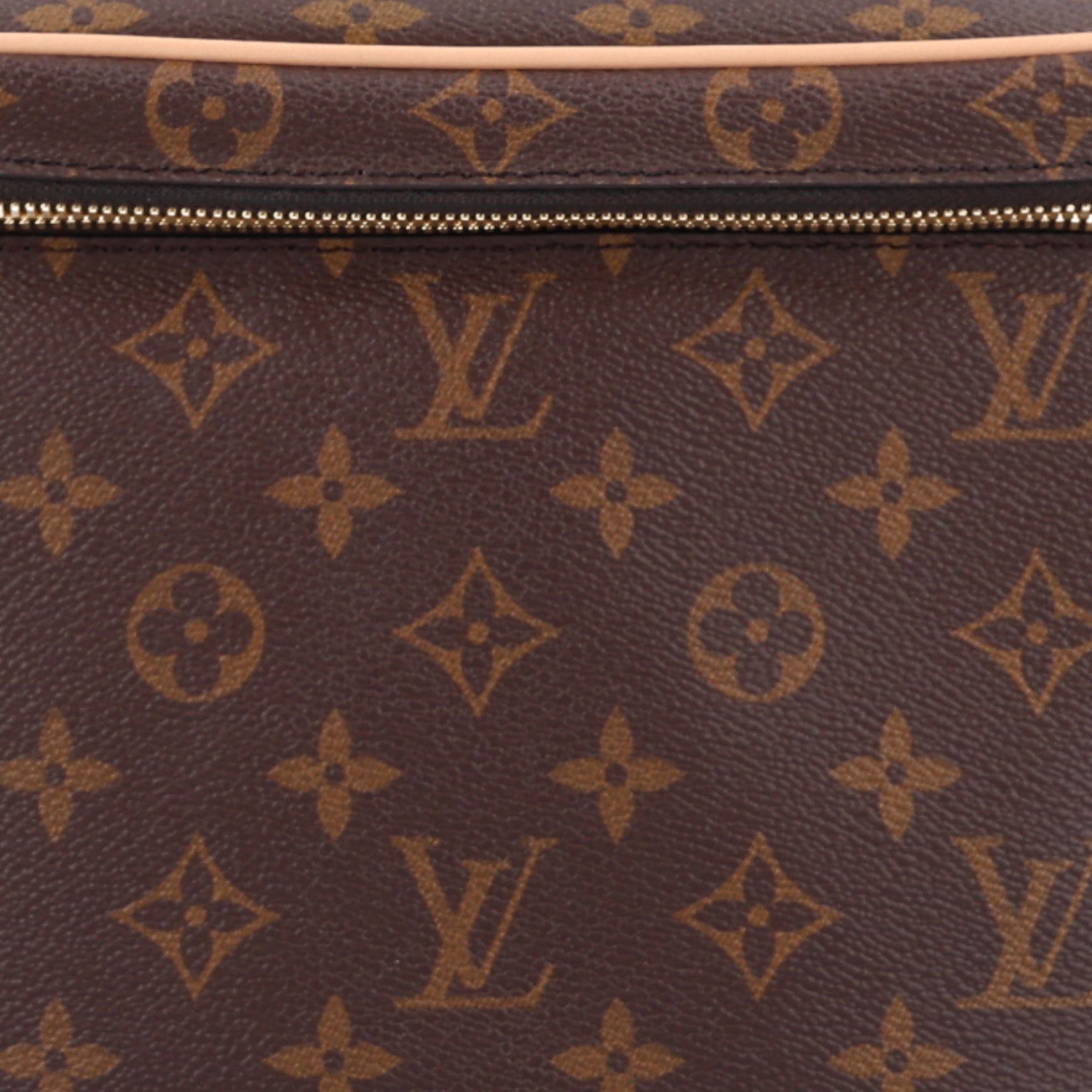 Louis Vuitton Monogram Nice BB 7 of 9