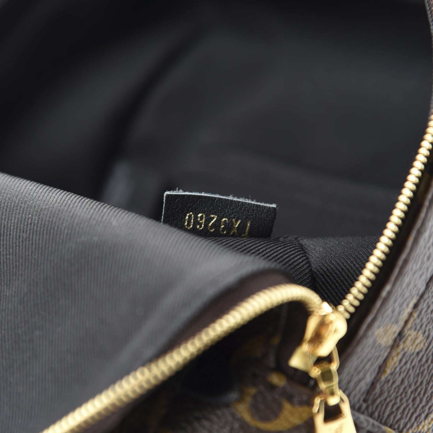 Louis Vuitton Monogram Palm Springs Backpack Mini 14 of 15