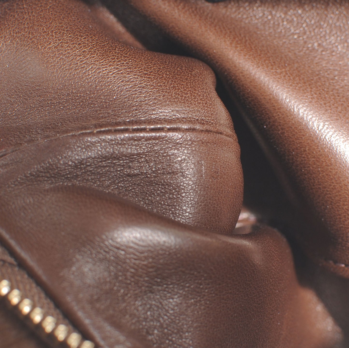 Monogram Mink Vision Milla MM Brown